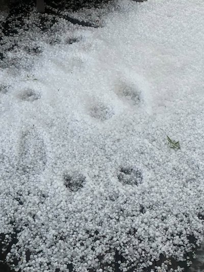 Град у Черкасах Град у Черкасах