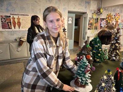 У Житомирі провели 16 виставку-конкурс "Зимова казка" У Житомирі провели 16 виставку-конкурс "Зимова казка"