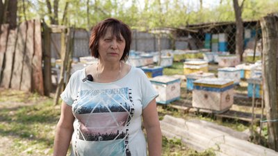 "Їм немає що взяти в природі": як на Кіровоградщині холодна весна вплинула на бджіл і медозбір "Їм немає що взяти в природі": як на Кіровоградщині холодна весна вплинула на бджіл і медозбір
