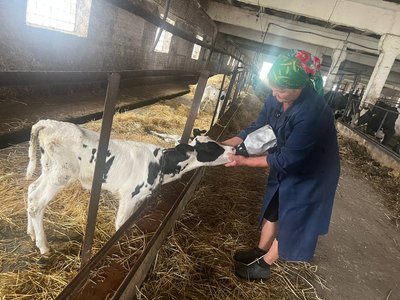 Працівниця ферми годує теля