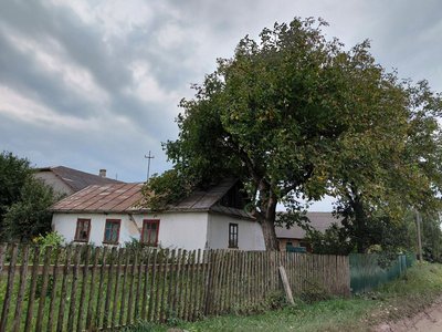 Будинок у селі Митниця на Львівщині Будинок у селі Митниця на Львівщині