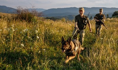 Військовослужбовець Максим Коробченко, вівчарка Голді, кордон, ДПСУ Військовослужбовець Максим Коробченко, вівчарка Голді, кордон, ДПСУ