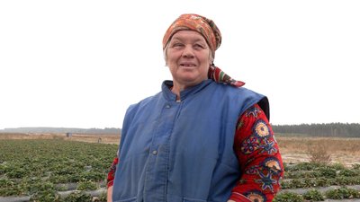 У селі на Чернігівщині вирощують полуницю в жовтні: чим вона відрізняється від сезонної У селі на Чернігівщині вирощують полуницю в жовтні: чим вона відрізняється від сезонної