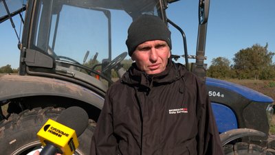 Як вирощують вишневі сади на Рівненщині Як вирощують вишневі сади на Рівненщині
