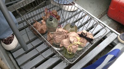 Епідеміологи взяли проби води з озера Басів Кут у Рівному Епідеміологи взяли проби води з озера Басів Кут у Рівному