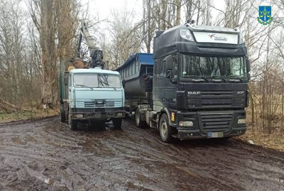 Зрубали 100-літні дуби в Чорнобильському заповіднику: під підозрою керівник держпідприємства і поліцейський Зрубали 100-літні дуби в Чорнобильському заповіднику: під підозрою керівник держпідприємства і поліцейський
