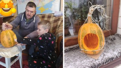 Із пластикових пляшок і 3D-макетів — до конкурсу годівничок у Житомирі долучилися понад 100 учасників Із пластикових пляшок і 3D-макетів — до конкурсу годівничок у Житомирі долучилися понад 100 учасників