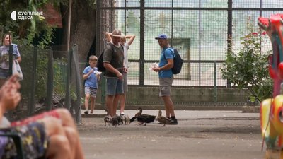 В одеському зоопарку зʼявились карликові мавпи В одеському зоопарку зʼявились карликові мавпи