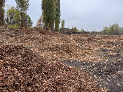 Прибирання опалого листя у Полтаві: чи можуть містяни утилізувати листя зі своїх дворів Прибирання опалого листя у Полтаві: чи можуть містяни утилізувати листя зі своїх дворів