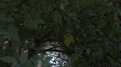 Фото регіонального офісу водних ресурсів Фото регіонального офісу водних ресурсів