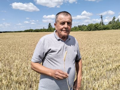 На Волині тривають жнива зернових культур. Скільки врожаю номолотили