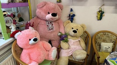Конкурси, екскурсія й турнір: куди піти в Миколаєві 29 та 30 серпня Конкурси, екскурсія й турнір: куди піти в Миколаєві 29 та 30 серпня
