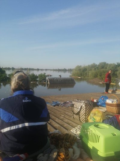 Відсутня евакуація, жителі рятуються від підтоплення на дахах будинків: що відбувається на лівому березі Херсонщини Відсутня евакуація, жителі рятуються від підтоплення на дахах будинків: що відбувається на лівому березі Херсонщини