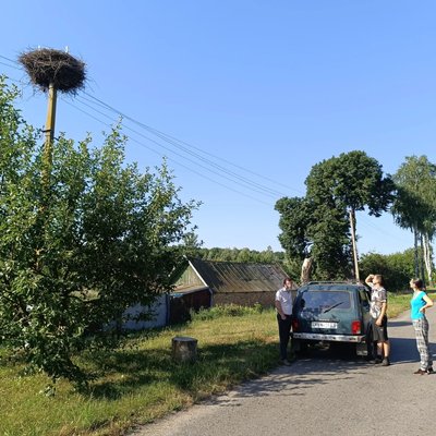 У нацпарку "Слобожанський" на Харківщині порахували лелек: 35 пар знайшли У нацпарку "Слобожанський" на Харківщині порахували лелек: 35 пар знайшли