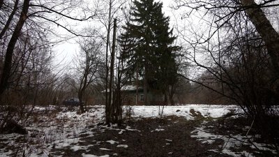 Новий рік без телевізора, інтернету та на самоті: як відзначають свято двоє останніх жителів одного із сіл Чернігівщини Новий рік без телевізора, інтернету та на самоті: як відзначають свято двоє останніх жителів одного із сіл Чернігівщини