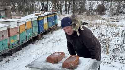 Кіровоградщина лідирує в Україні за кількістю пасік Кіровоградщина лідирує в Україні за кількістю пасік