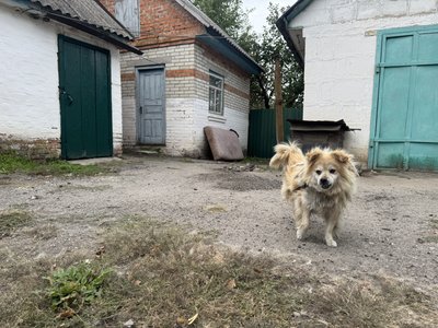 "Приїжджайте до нас!": у Синівську громаду на Сумщині запрошують переселенців "Приїжджайте до нас!": у Синівську громаду на Сумщині запрошують переселенців
