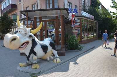 На Вінниччині військовий створив зі снігу скульптуру коня
