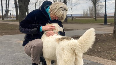 Мурашка, Умка та інші: у Миколаєві шукали господарів для собак Мурашка, Умка та інші: у Миколаєві шукали господарів для собак