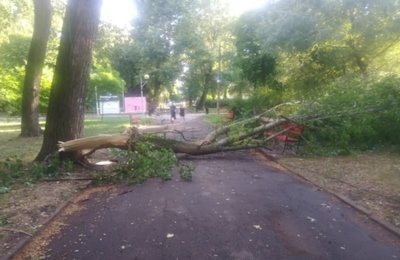 Погода, вітер, парк Т. Шевченка, Тернопіль Погода, вітер, парк Т. Шевченка, Тернопіль