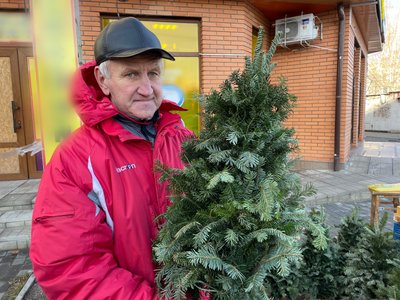 Херсон, ялинки, Новий рік Херсон, ялинки, Новий рік