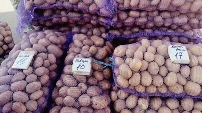 На Кіровоградщині дорожчає картопля. Що вплинуло на ціну На Кіровоградщині дорожчає картопля. Що вплинуло на ціну