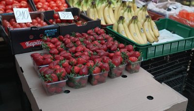 Полуниця, ціни, ринок, купити полуницю, 24 квітня 2026, Тернопіль Полуниця, ціни, ринок, купити полуницю, 24 квітня 2026, Тернопіль