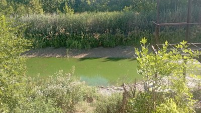 "Золота вода — приносимо руками". Апостолове без води на невизначений термін: що кажуть у міськраді "Золота вода — приносимо руками". Апостолове без води на невизначений термін: що кажуть у міськраді