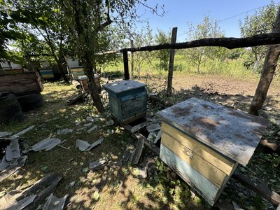 “Головне, що живі”: як мешканці Стецьківки на Сумщині пережили ракетний удар “Головне, що живі”: як мешканці Стецьківки на Сумщині пережили ракетний удар