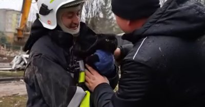 кішка, рятувальник передає кушку, врятована тварина кішка, рятувальник передає кушку, врятована тварина