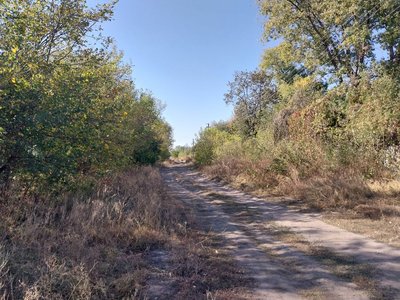 "Без людей якось сумно": як живуть на прикордонні Сумщини "Без людей якось сумно": як живуть на прикордонні Сумщини