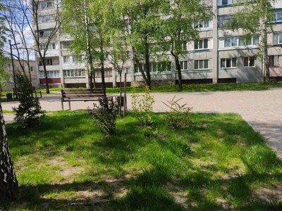 50 мільйонів на парки: у Житомирі збирають підписи проти виділення грошей на ремонт парків і скверів 50 мільйонів на парки: у Житомирі збирають підписи проти виділення грошей на ремонт парків і скверів