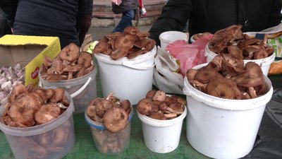 Гриби на центральному ринку у Рівному Гриби на центральному ринку у Рівному