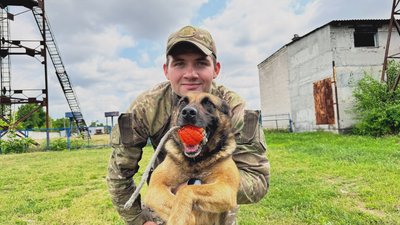 "Собака детектор": як у Кропивницькому тренують переможців чемпіонату серед розшукових собак "Собака детектор": як у Кропивницькому тренують переможців чемпіонату серед розшукових собак