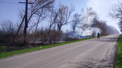 На Черкащині протягом 15 квітня згоріло понад сім гектарів сухостою та сміття