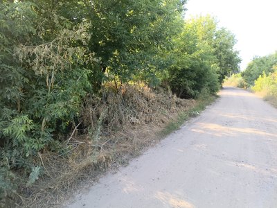 «Якщо не ми, то хто?»: на Вінниччині батько із синами власноруч розчистили узбіччя «Якщо не ми, то хто?»: на Вінниччині батько із синами власноруч розчистили узбіччя