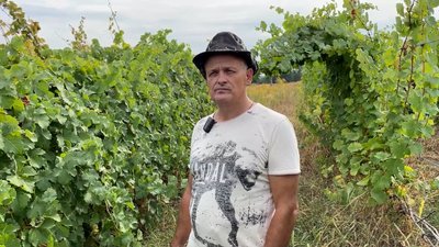 У 57 років все розпочав з нуля: як переселенець з Донеччини вирощує виноград на півночі Чернігівщини У 57 років все розпочав з нуля: як переселенець з Донеччини вирощує виноград на півночі Чернігівщини