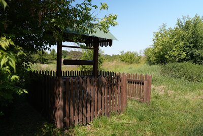 "Тут тварини травляться". На Сумщині зливають каналізаційні води поблизу села "Тут тварини травляться". На Сумщині зливають каналізаційні води поблизу села