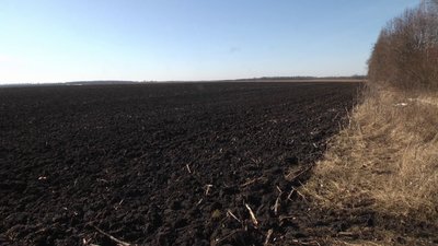 Поле на Хмельниччині Поле на Хмельниччині