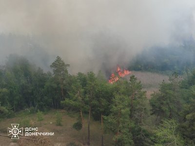 Лісова пожежа Лісова пожежа
