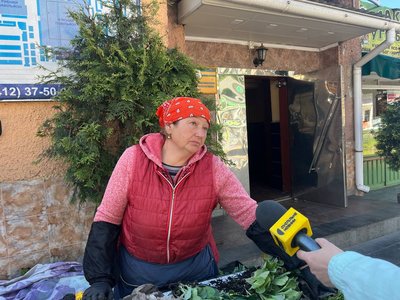 Попит зменшився: які ціни на розсаду на Житньому ринку у Житомирі Попит зменшився: які ціни на розсаду на Житньому ринку у Житомирі
