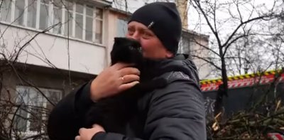 кішка Мія, врятована кішка кішка Мія, врятована кішка