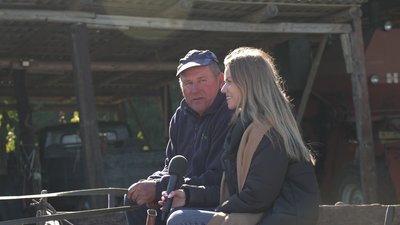 "З кожним роком людей меншало": історія села Забірки на Рівненщині, в якому ніхто не живе "З кожним роком людей меншало": історія села Забірки на Рівненщині, в якому ніхто не живе