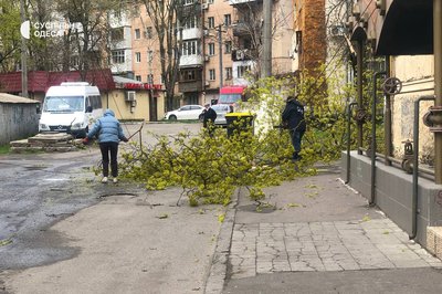 Деревопад на вулицях міста: наслідки негоди в Одесі Деревопад на вулицях міста: наслідки негоди в Одесі