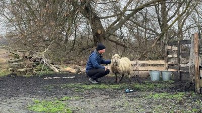 "Воно в мене в крові": історія 23-річного вівчара з Чернігівщини "Воно в мене в крові": історія 23-річного вівчара з Чернігівщини