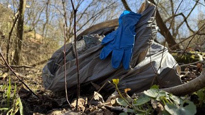 У Вінниці відбулася толока на річці Скельна: що вдалося зробити У Вінниці відбулася толока на річці Скельна: що вдалося зробити