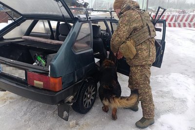 Кінолог із собакою перевіряють автівку на в'їзді у Харків Кінолог із собакою перевіряють автівку на в'їзді у Харків