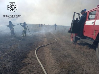 В Одеській області сталася пожежа у заповіднику В Одеській області сталася пожежа у заповіднику