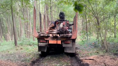 Лось почав самостійно пити: який стан тварини, яку евакуювали з Рівненщини до Львова Лось почав самостійно пити: який стан тварини, яку евакуювали з Рівненщини до Львова