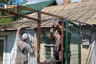 Сидять закриті через небезпеку: волонтерка з Одещини будує вольєр для понад ста безпритульних котів Сидять закриті через небезпеку: волонтерка з Одещини будує вольєр для понад ста безпритульних котів